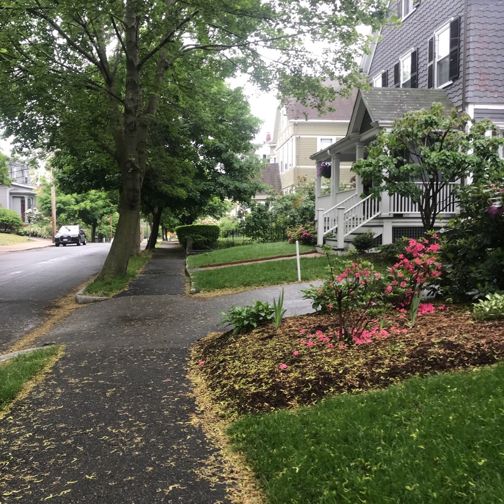 Meet your Posher, Bonnie